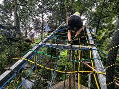 -清迈丛林飞跃 JungleFlight