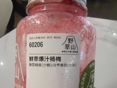 -野萃山·潮汕厚果汁(十亩地店)