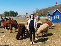 -大连铭湖国际观光牧场