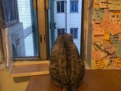 -H立方实景剧情密室(天河旗舰店)