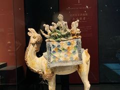 -陕西自然博物馆