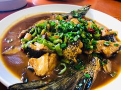 -全乐鱼馆·淳牌有机鱼直营店