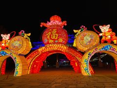 -祥源·阜阳生态乐园