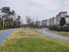 -两河城市森林公园