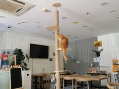 -平行世界·猫咖(首经贸店)