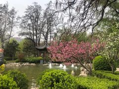 -迎泽公园