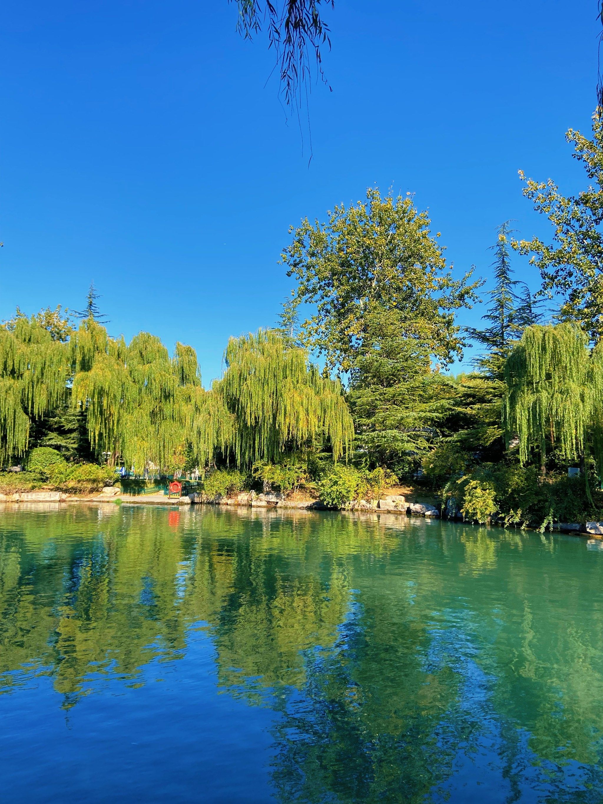 一起来湖边漫步吧