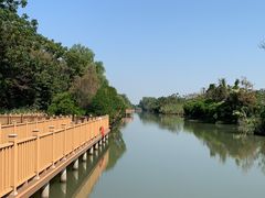 -大湾区中央湿地公园