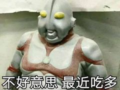 -潮双喜正宗澄海狮头鹅华利路店
