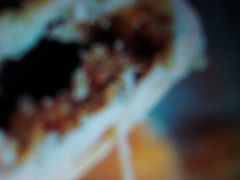 -Burger & Lobster(Dean Street)