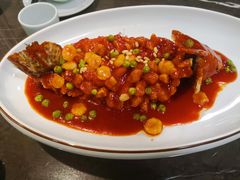-金陵夜猫子私房菜(茂业天地店)