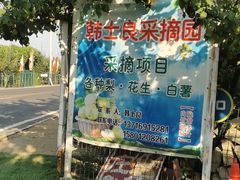 -韩士良采摘园