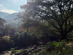 -广州市石门国家森林公园