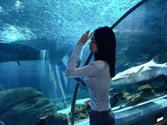 -石家庄海洋公园