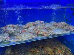 -小铜锣湾海鲜家常菜馆(河西店)