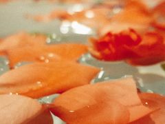 -半山半岛洲际度假酒店·观海廊