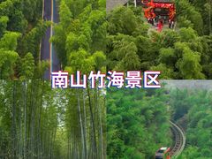 -紫藤园·天目湖大鱼头(南山竹海店)