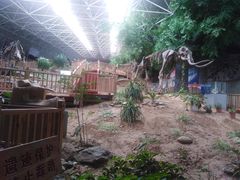 -中国第四纪冰川遗迹陈列馆
