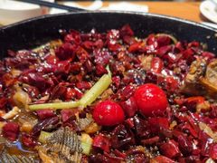 -老板恋上鱼(恒隆广场店)