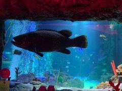 -沈阳海洋探索中心