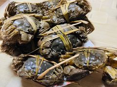 -蟹都汇(旗舰店)