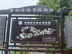 -蝶舞清江·恩施云顶景区(黄鹤峰林)