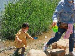 -绿岛公园(滨海新区)