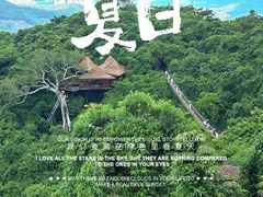 -三亚亚龙湾人间天堂鸟巢度假村