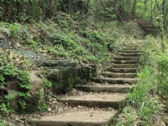 -惠山国家森林公园