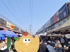 -中环花鸟鱼虫市场