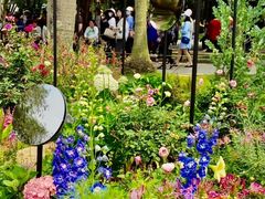 -深圳仙湖植物园