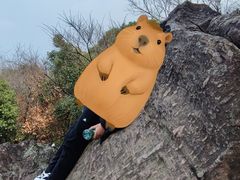 -南北湖风景区