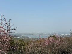 -香雪海
