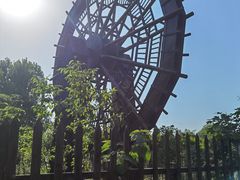 -溱湖国家湿地公园