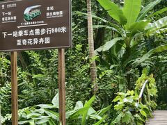 -中国科学院西双版纳热带植物园