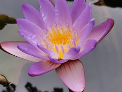 -云溪植物园