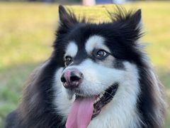 -渭河城市绿地运动公园