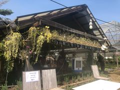 -Ohkajhu Organic Farm Sansai