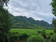 -中国茶叶博物馆(双峰馆区)