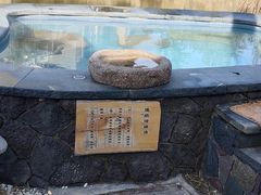-芭东小镇温泉