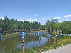 -东郊湿地公园