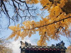 -青岛崂山太清宫