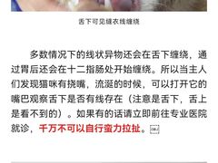 -瑞派申生动物医院·24H夜诊·国际动物医疗中心·骨外科(吴中路店)