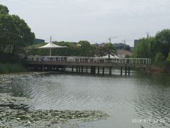 -新江湾城公园