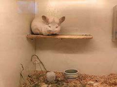 -龙猫仔乐园(惠福东路店)