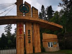 -五营国家森林公园