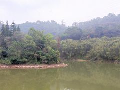 -滴水岩森林公园