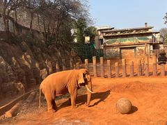 -昆明动物园
