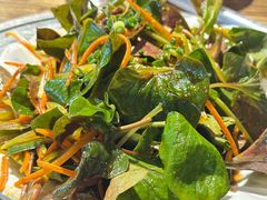 -老号尤兔头(幸福店)