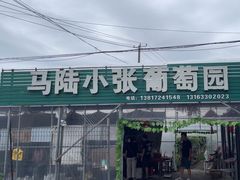 -马陆小张葡萄园农家乐